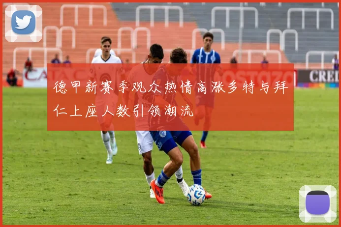 德甲新赛季观众热情高涨多特与拜仁上座人数引领潮流