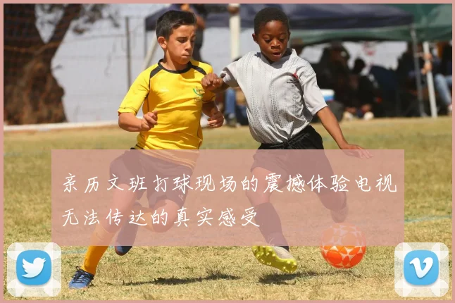 亲历文班打球现场的震撼体验电视无法传达的真实感受