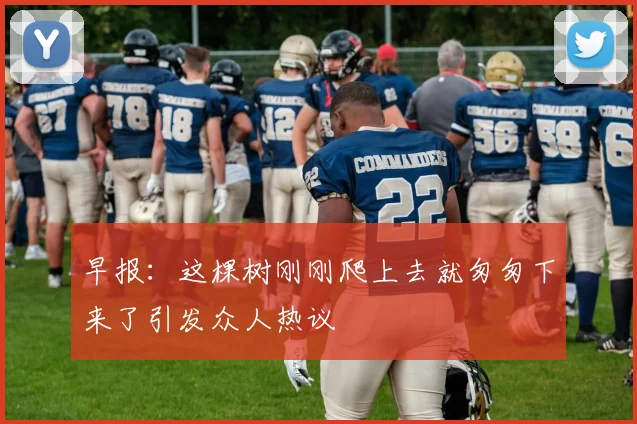 早报：这棵树刚刚爬上去就匆匆下来了引发众人热议