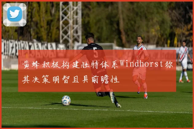 黄蜂积极构建独特体系Windhorst称其决策明智且具前瞻性