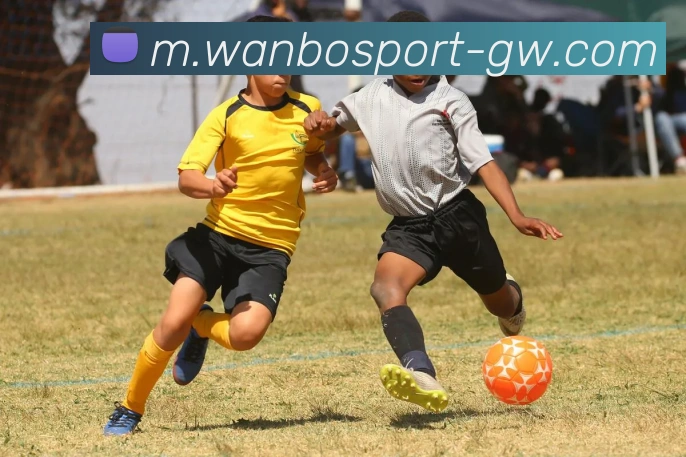 万博体育平台生态图