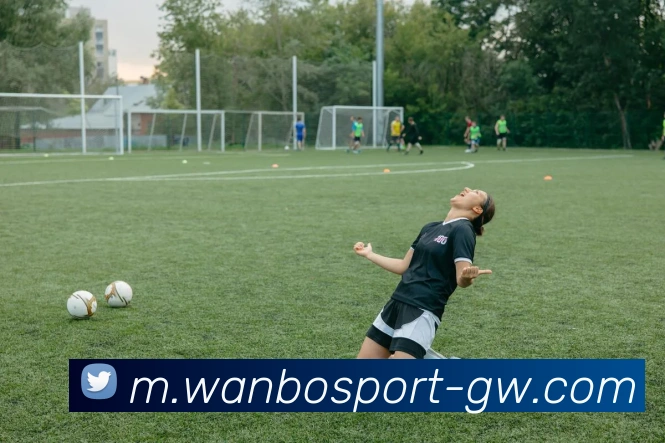 万博体育APP 封面图